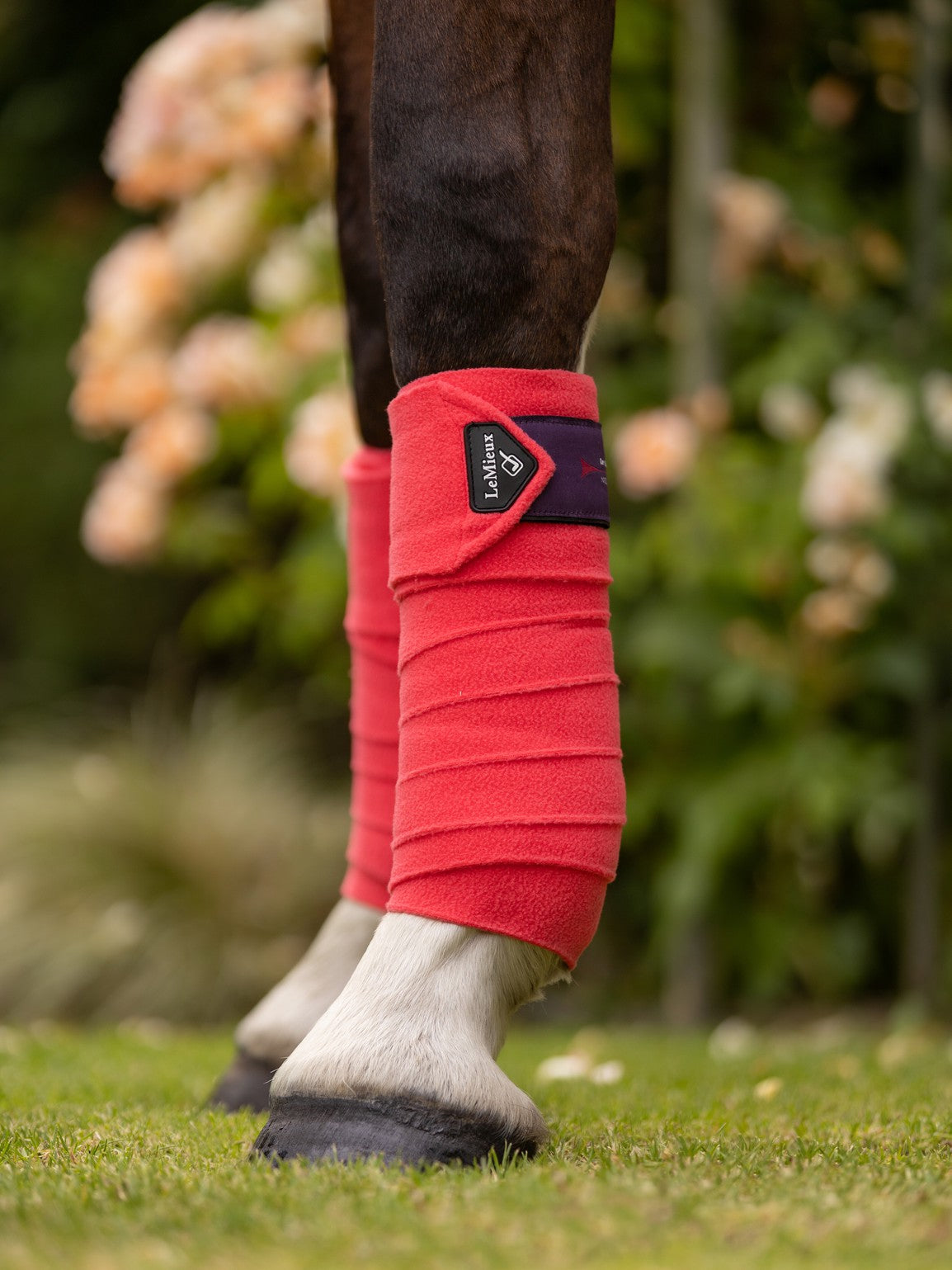 LeMieux Papaya Classic Polo Bandages