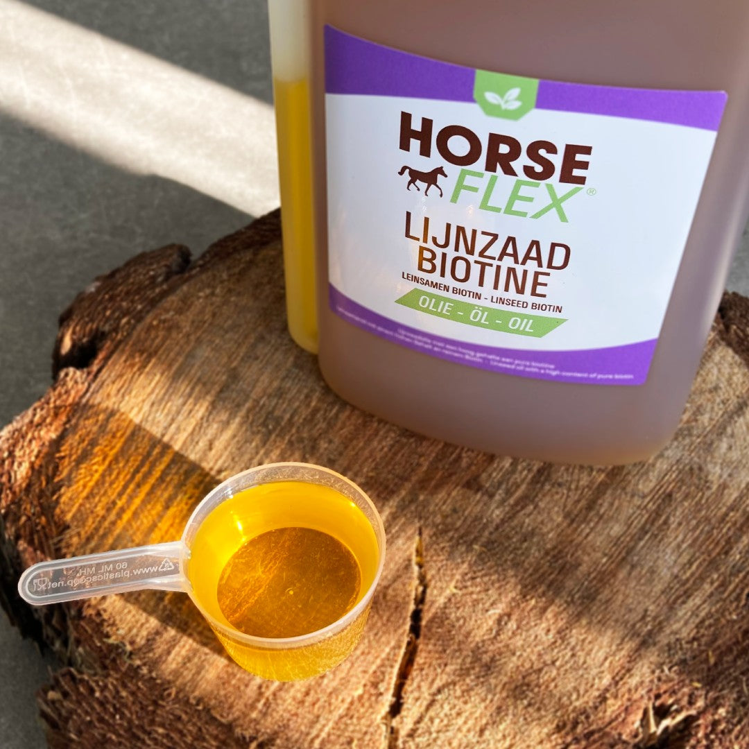 A Boon for Equine Wellness: Unlocking the Power of Micronized Linseed