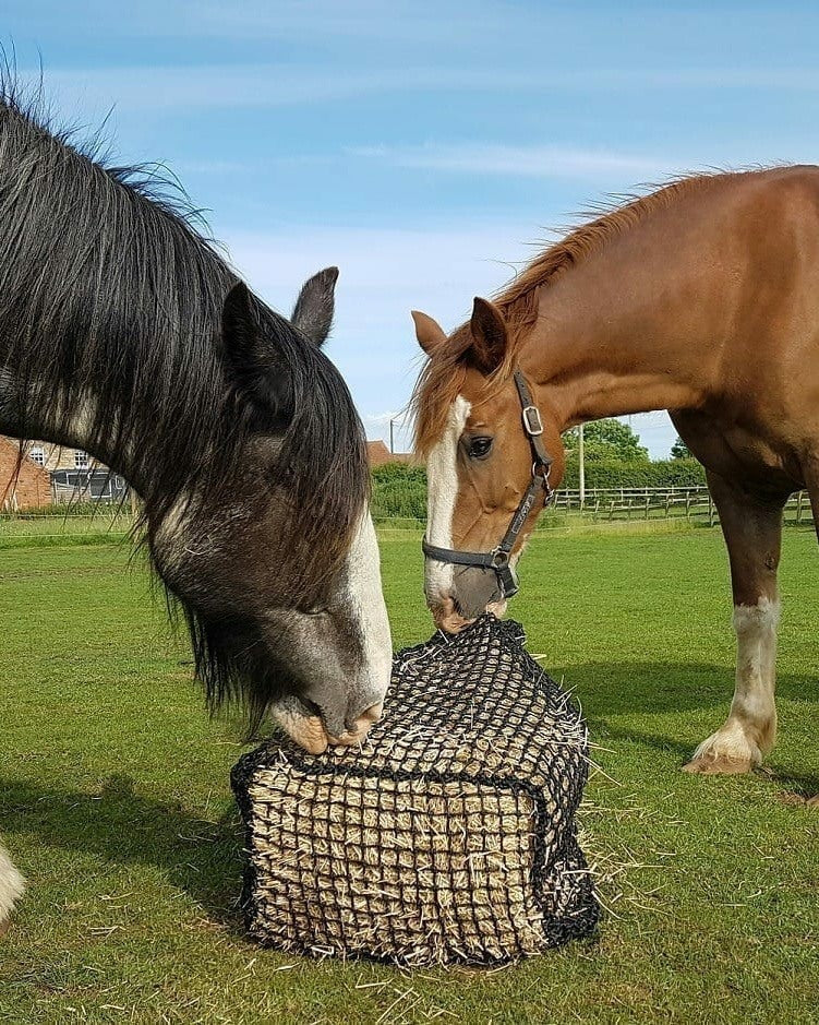 Slowfeeders & Haynets