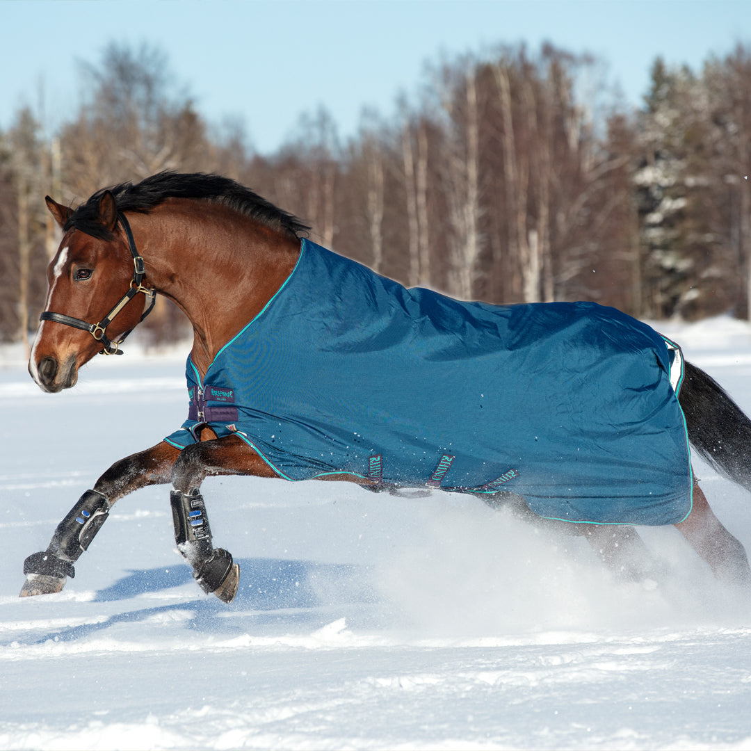 Winter and Turnout Rugs