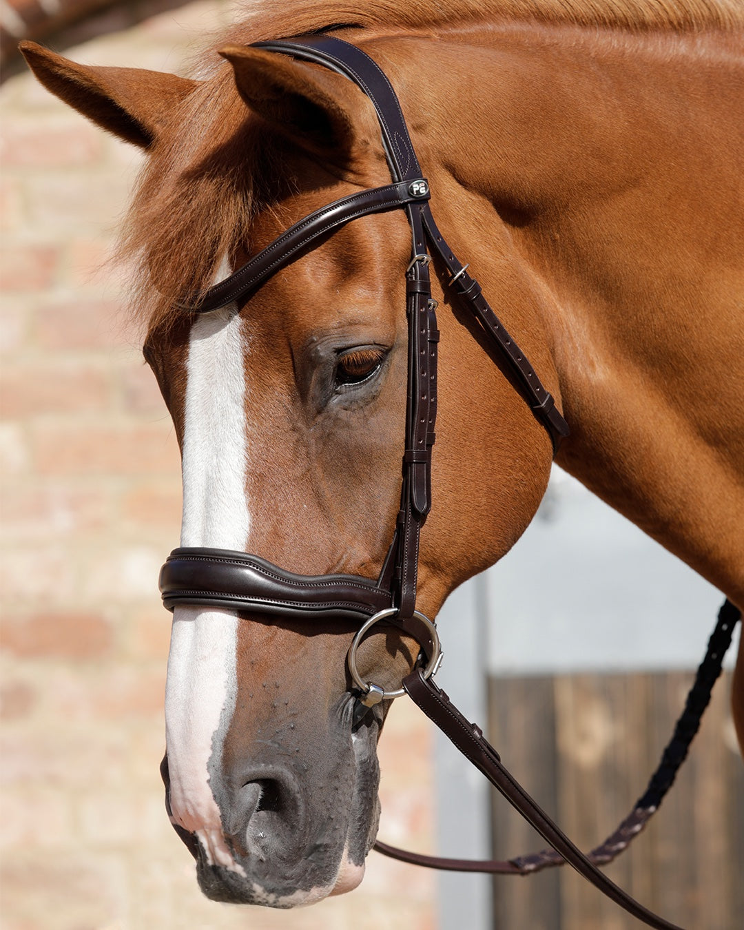 Snaffle Bridles