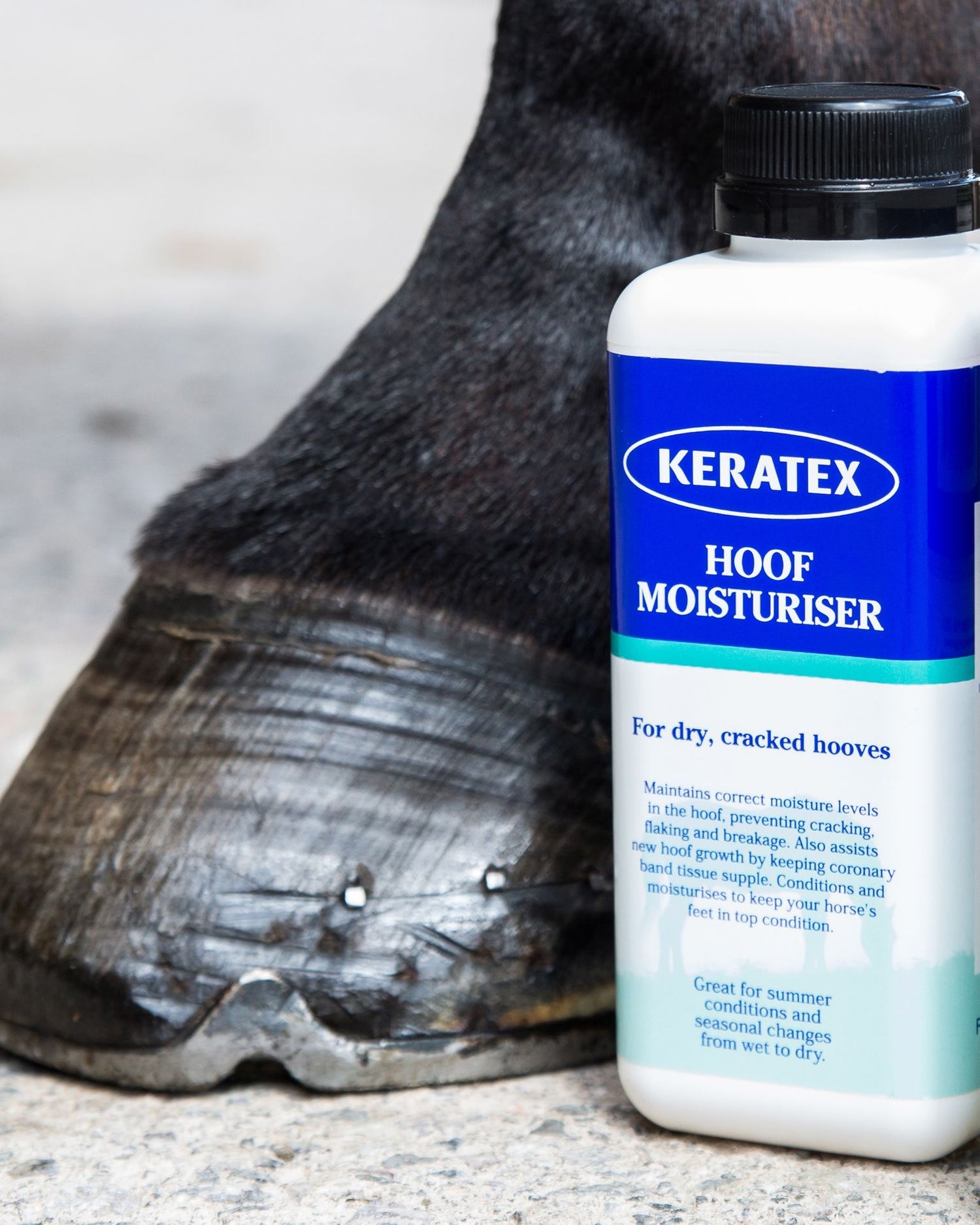 Hoof Oils & Moisturisers