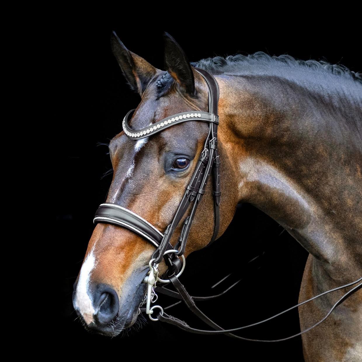 Double Bridles