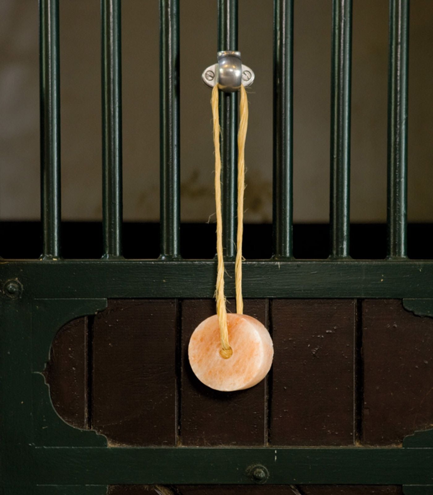 Silver coloured hook holding a himalaya salt lick attached to a stable door