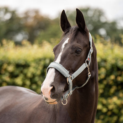 Imperial Riding Dark Sage Lovely Headcollar