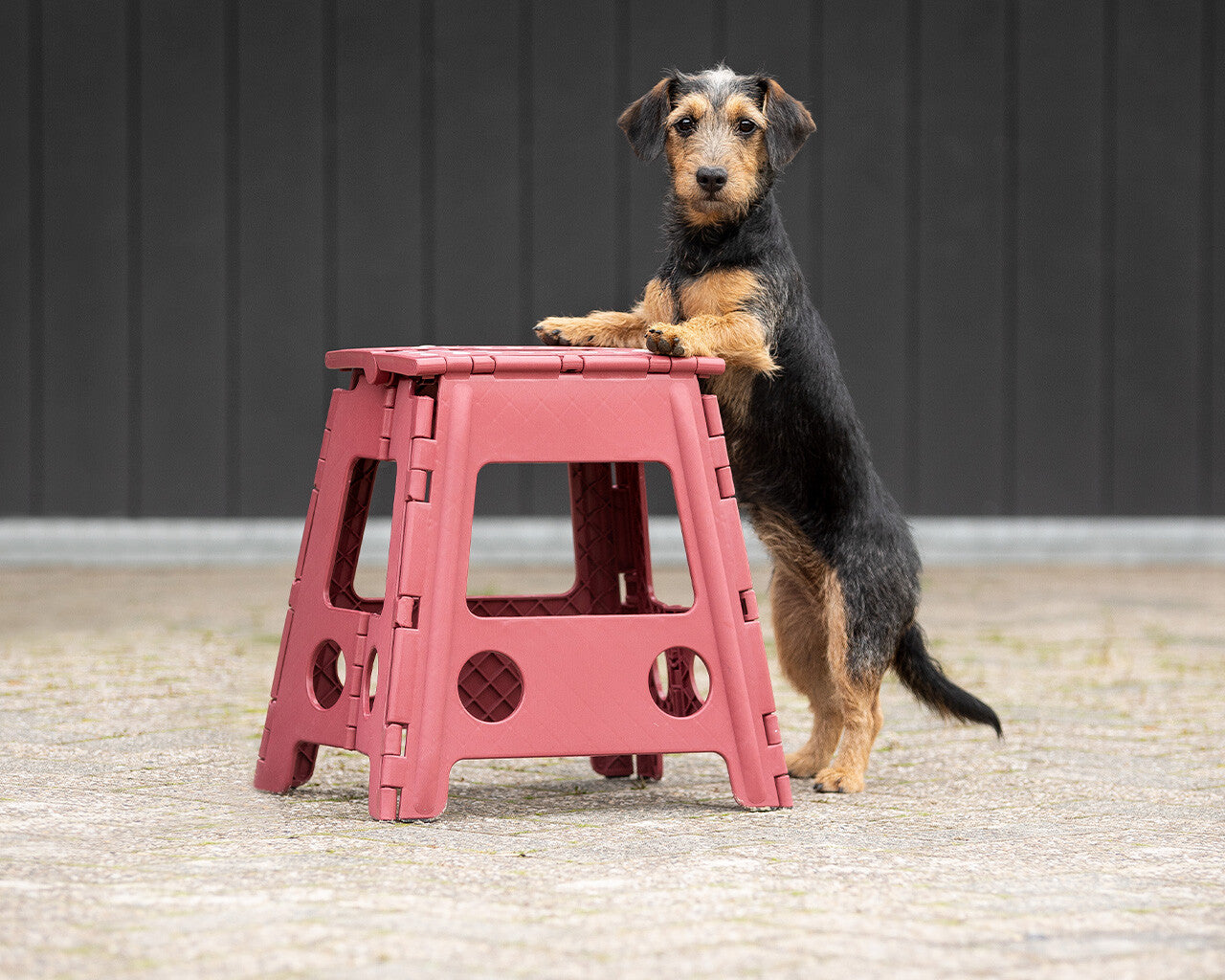 QHP Lavender Step-up Stool