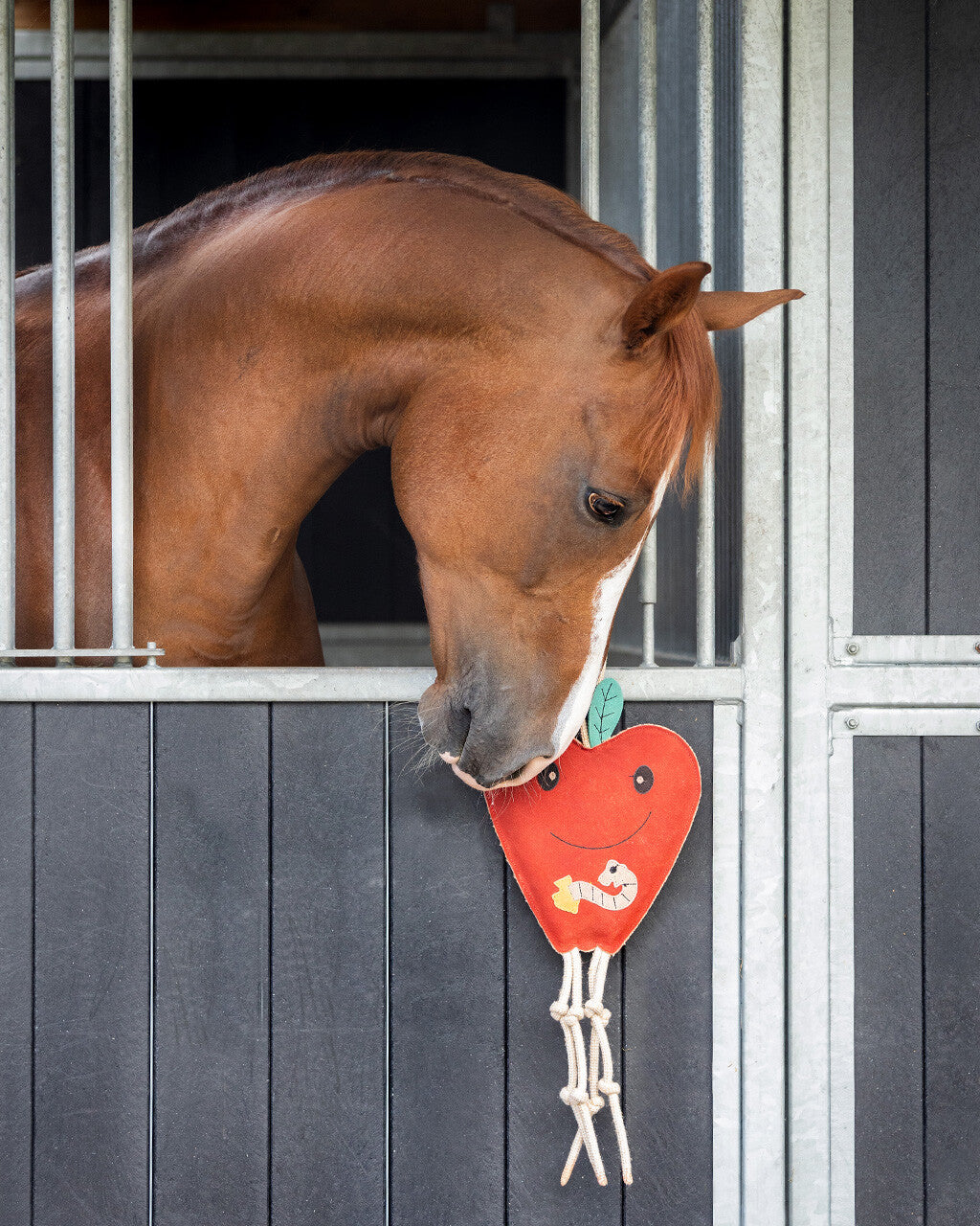 QHP Apple Horse Toy