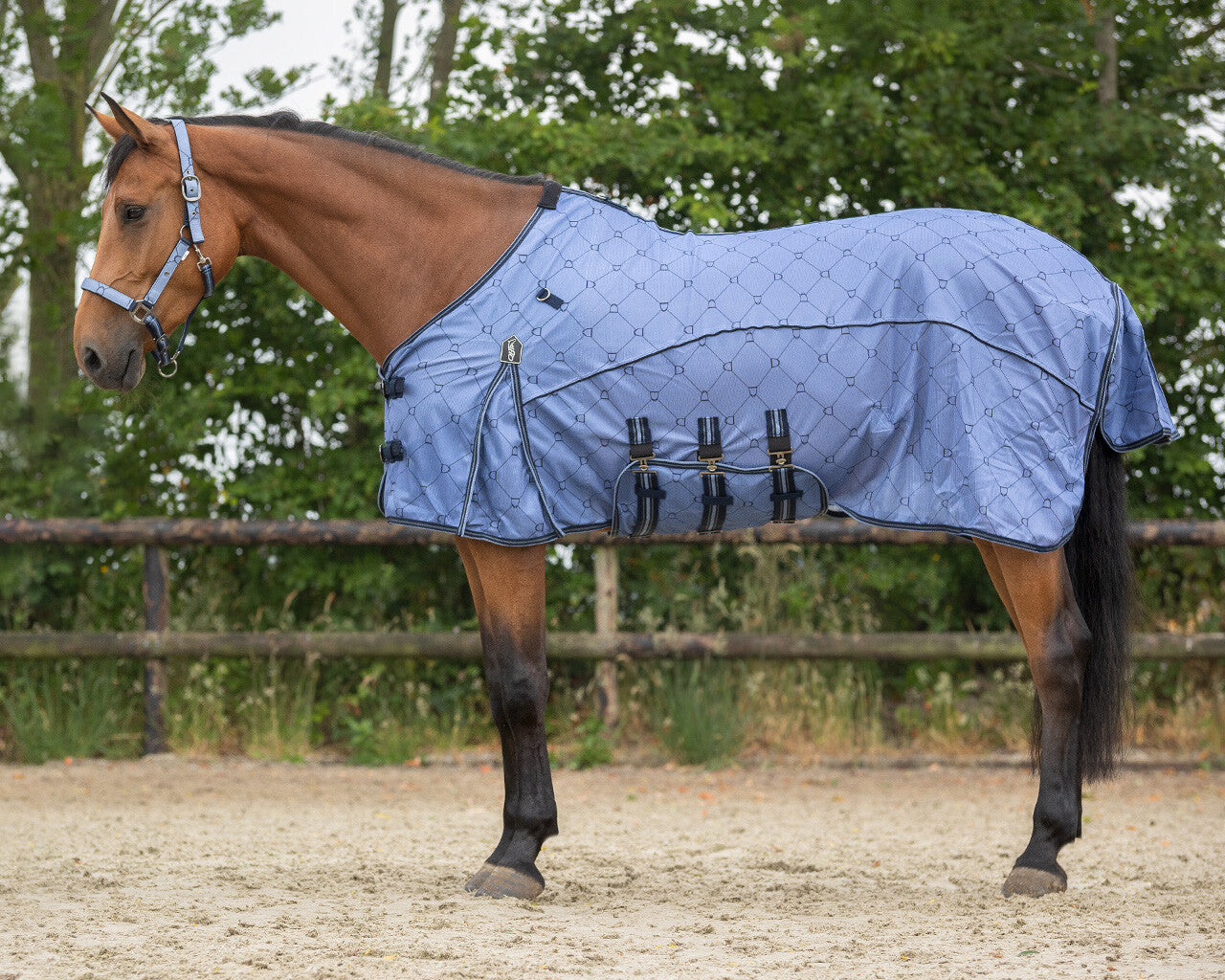 QHP Country Blue Collection Fly Rug with Neck & Fly Mask