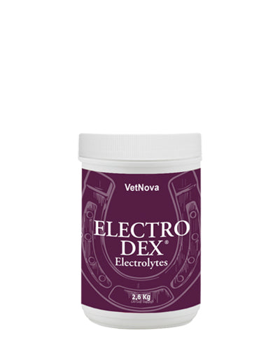 VetNova Electro Dex Electrolyte Powder