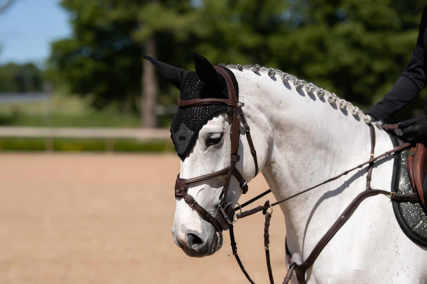 Equestrian Stockholm Northern Light Glimmer Ear Bonnet