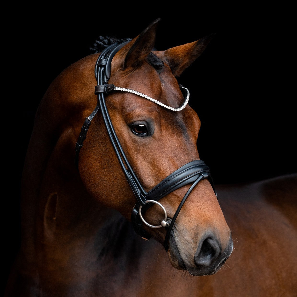 SD Design Black Rapsody Rolled Snaffle Bridle