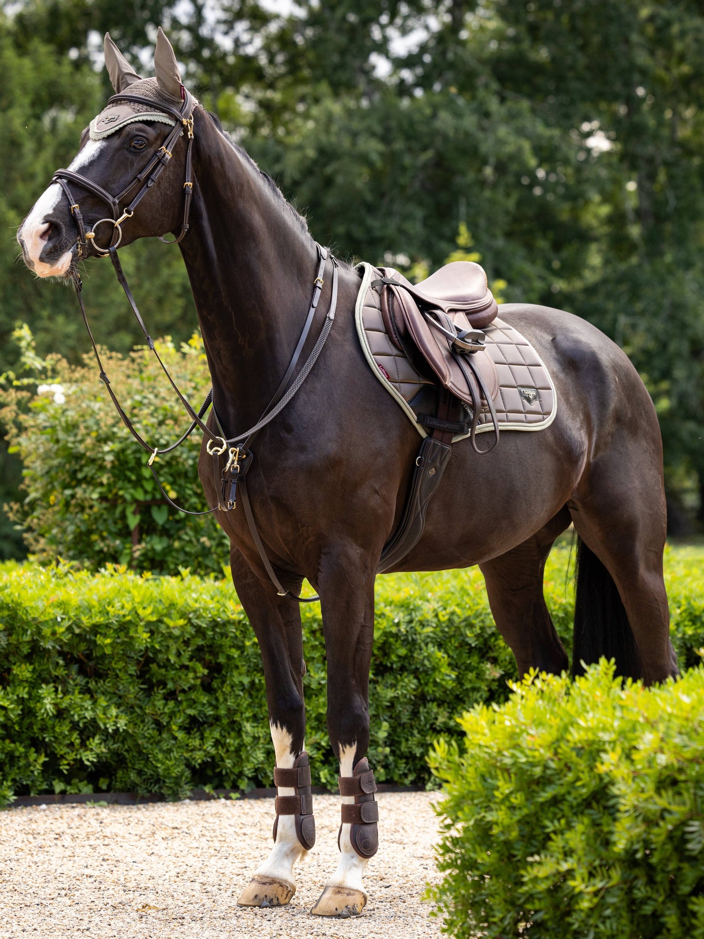 LeMieux Walnut Loire Classic Close Contact Jump Saddle Pad