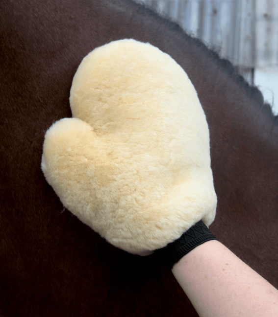 Waldhausen Natural Lambswool Grooming Glove