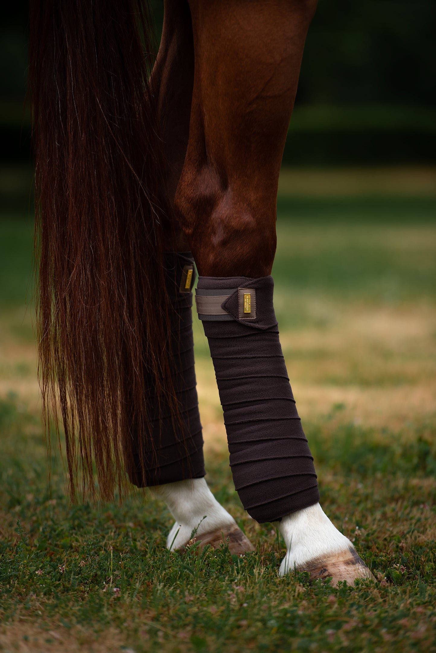 Equestrian Stockholm Golden Brown Fleece Bandages