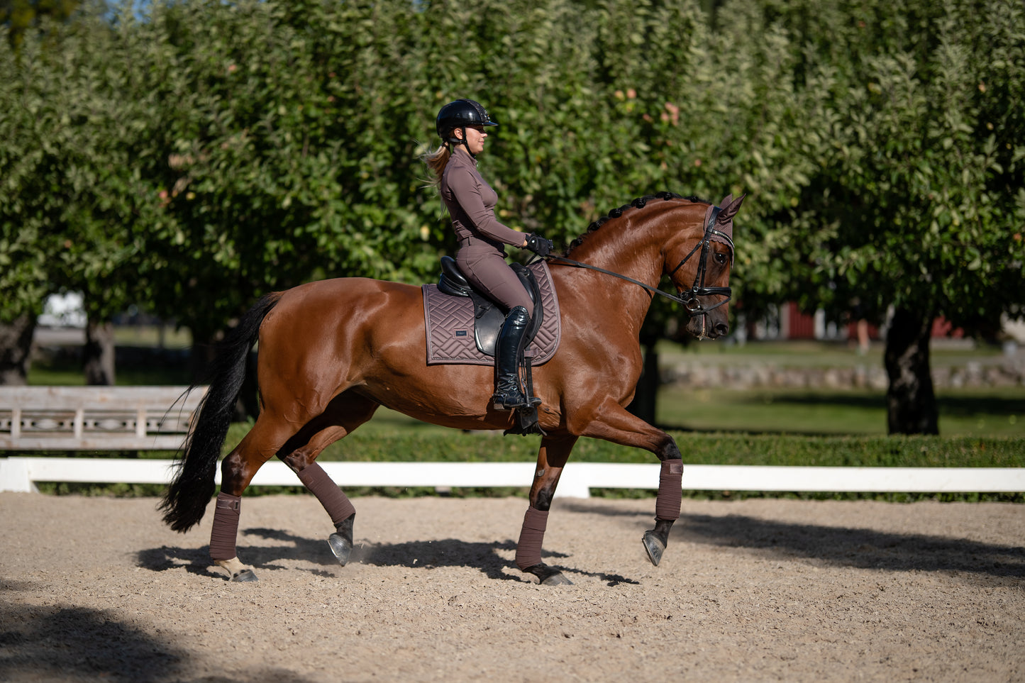 Equestrian Stockholm Amaranth Modern Dressage Saddle Cloth