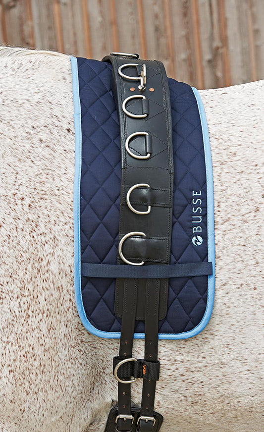 Busse Navy Colour Lunge Pad