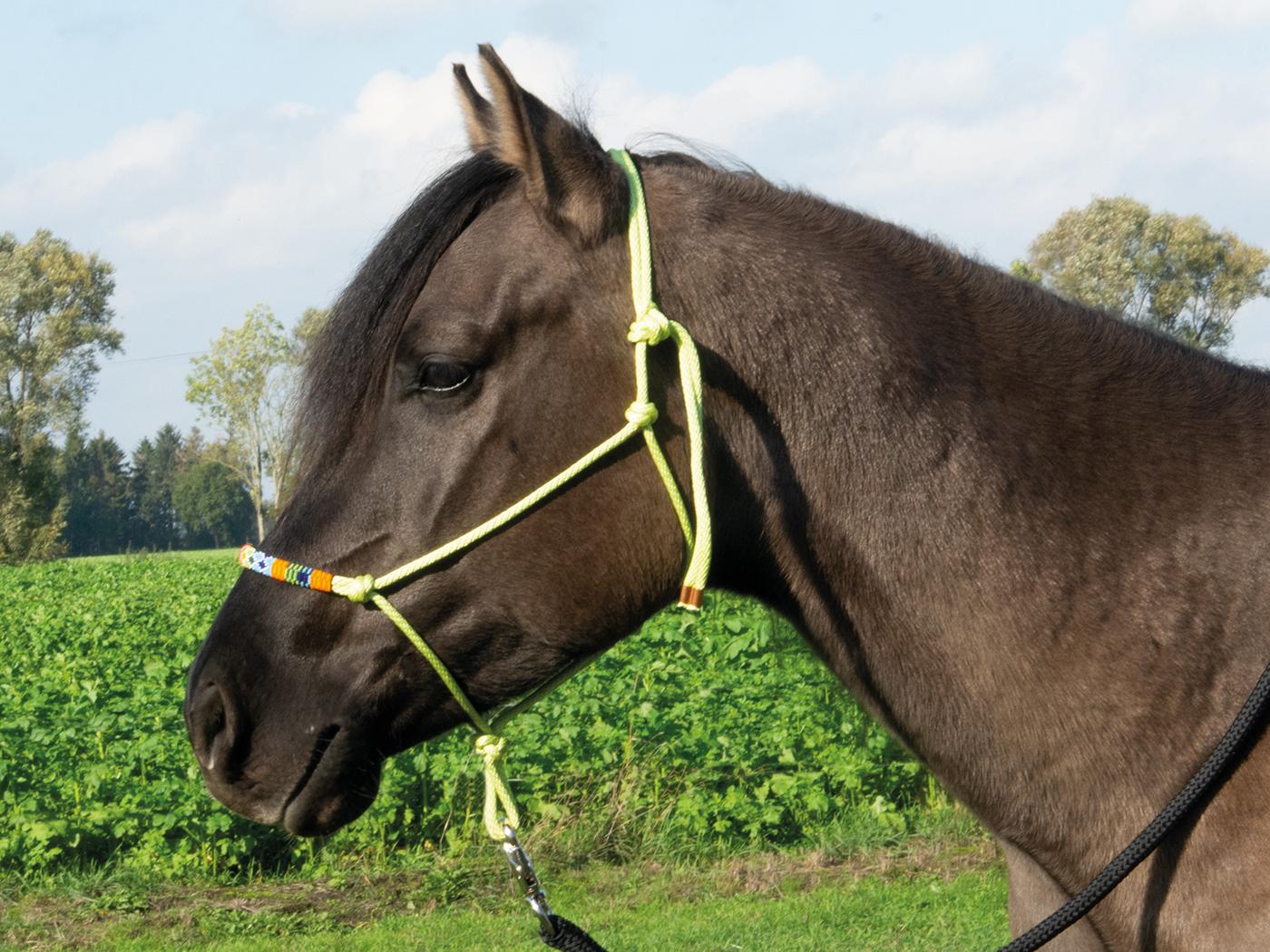 Busse Lime Beads Rope Halter
